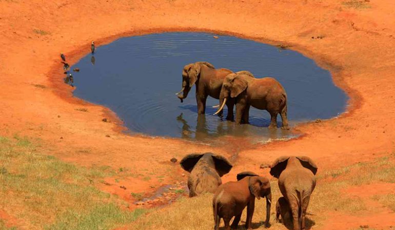 Tsavo Holiday Offers