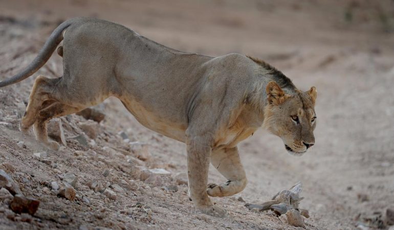 Tsavo Holiday Offers